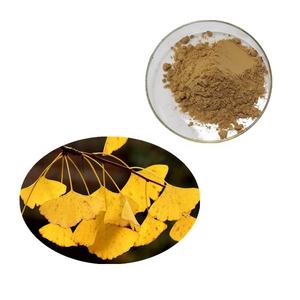 <span class=keywords><strong>Ginko</strong></span> <span class=keywords><strong>Biloba</strong></span> 추출물 분말을 함유 한 순수한 은행코 추출물 항산화 지원을위한 최고 품질의 허브 보충제 - Product Image 1