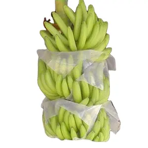 중국 공장 Pp 비 짠 가방 커버 바나나 과일 보호 커버
