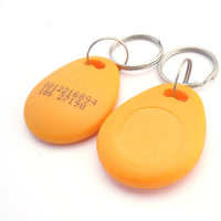 Porte-clés RFID EM4100, 100 pièces, verrouillage de porte, ABS