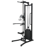 Machine de musculation multifonctionnelle pour la maison, pour la musculation du dos et des bras, construction métallique, pile de poids de 65 kg