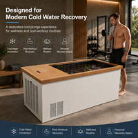 Baignoire rectangulaire à immersion froide avec refroidisseur, en acier inoxydable et bois, pour salle de sport à domicile et spa