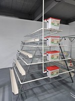 Cage à poules pondeuses automatique en acier galvanisé à chaud de type A
