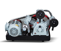 Compresseur d'air haute pression à piston industriel YiBang 30KW 40hp 1200L/min 30mpa 300bar 800rpm AC 380v 50hz