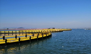 Jaula para Peces de HDPE de Nivel Básico, 30m de Perímetro para Nuevos Pescadores - Product Image 4
