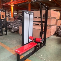 Appareil Commercial Réglable pour Entraînement du Dos, Poitrine, Bras, Lat Pulldown et Rameur, avec Cadre en Acier Robuste, pour Triceps, Gym et Fitness, Sécurité