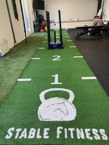 <span class=keywords><strong>Tapis</strong></span> d'herbe artificielle d'intérieur personnalisable de haute qualité MCG Gym, 15 mm d'épaisseur, écologique avec motif unique pour la luge - Product Image 1