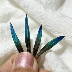 Plumes de paon irisées rigides de 3-7 cm – Pointes de plumes teintées bleu-vert coupées pour costumes, artisanat et chapellerie - Product Image 2