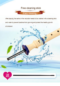 Flauta Doce Starway de Plástico ABS com 6 e 8 Furos para Estudantes, em Promoção e a Preço Baixo, com Acessórios Completos, Instrumentos de Sopro Duráveis - Product Image 5