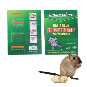 Usine directe de haute qualité prix de gros personnalisé souris <span class=keywords><strong>rat</strong></span> colle piège papier - Product Image 1