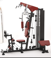 Station d'entraînement multifonctionnelle complète pour la maison – Équipement de fitness polyvalent pour un entraînement de force combiné