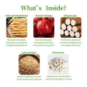 OEM&ODM Probiotische Weichkaubonbons für Hunde Verdauungsförderndes Haustier-Nahrungsergänzungsmittel für Hunde und Katzen zur Appetitanregung - Product Image 3