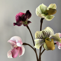 Model Penjualan Bunga Piphidium Paphiopedilum Berkualitas Tinggi Desain Floral untuk Ruangan Dekorasi Rumah Anggrek
