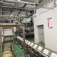 Ligne complète d'abattage de porcs, machinerie d'abattoir porcin avec équipement de boucherie pour porcs