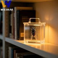 Cage à insectes en acrylique portable avec poignée-Boîte de transport ventilée pour insectes vivants, habitat éducatif pour animaux de compagnie en classe