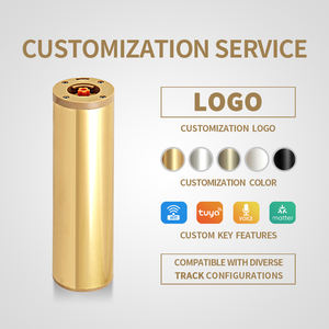 Motor para Cortinas con Control por Voz KYOK - Motor Dorado para Abrir y Cerrar Cortinas, para Riel de Cortina en Forma de D - Product Image 2