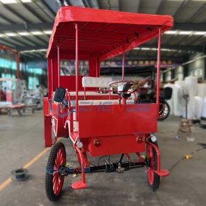 Sightseeing Carriage Victorian-style Electric Sightseeing Carriage <b>Double</b>-row Custom Multi-style Carriage Sells Well - Product Image 5