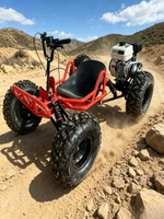 Kart électrique tout-terrain 200CC 1800W avec options de roues de 6/8/10 pouces, buggy tout-terrain pour adultes