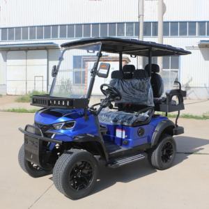 Carrito de Golf Eléctrico de Nueva Energía con la Mejor Relación Calidad-Precio, Configuración Básica, Buggy Económico - Product Image 1