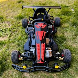 Kart Todoterreno Eléctrico para Adultos de 1000w-3000w, Buggy de Playa de Cuatro Ruedas, Envío al Aire Libre en Cajas de Madera - Product Image 3