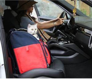 Truelove Minimalist tasarımcı sırt çantası lüks taşınabilir katlanabilir kedi köpek fermuar kapatma ile evcil hayvan çantası taşıyıcı naylon küçük hayvanlar - Product Image 6