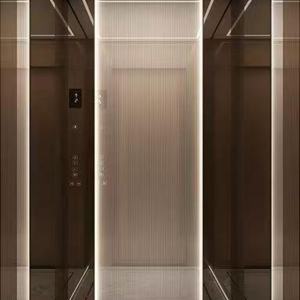 Ascenseur domestique moderne à traction sans engrenages en acier inoxydable avec plancher en PVC pour villa, maison à 2 étages, petit ascenseur résidentiel - Product Image 2