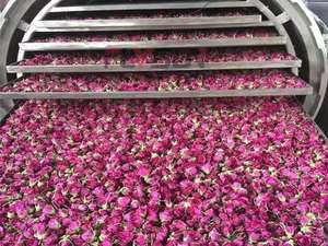 เครื่องทำโยเกิร์ตนมแบบแช่แข็งสุญญากาศอัตโนมัติ ประหยัดแรงงาน ผลิตจากสแตนเลส 304 ความจุสูง ยี่ห้อ Flysun - Product Image 2