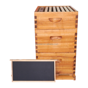 Colmena MengerBee US en Stock, Envío Inmediato, Colmena Langstroth de 3 Niveles, Abeto Chino con Revestimiento de Cera, Kit Completo Nuevo con 1 Año de Garantía - Product Image 2