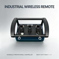 Control Remoto Inalámbrico Hidráulico IP67 Resistente al Agua y a la Corrosión por Niebla Salina WF2 para Equipos de Elevación Marítimos