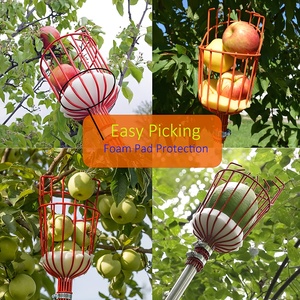 Cueilleur de fruits télescopique pour la cueillette des pommes et des poires, idéal pour la cueillette en hauteur - Product Image 6