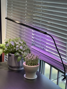 Led Kweeklicht Voor Groenten Binnenshuis En Bloei Vol Spectrum Plant Kweeklicht Led Kweeklicht Clip Voor Kassen Bloemen - Product Image 2