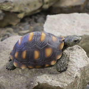 Trung Quốc Nhà Sản Xuất Tùy Chỉnh Vườn Rùa Bức Tượng Ngoài Trời Trang Trí Nội Thất Nhựa Rùa Sân Nghệ Thuật Điêu Khắc Trang Trí Bức Tượng - Product Image 4