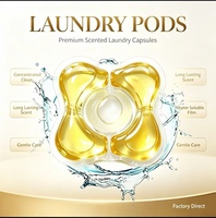 Lessives en capsules anti-moisissure pour vêtements humides – Perles de gel nettoyantes
