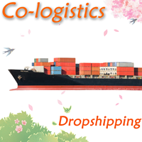 Agent de transport maritime FCL Chine-Inde Nhava Sheva Mundra Chennai Livraison rapide DDP Porte à Porte Logistique