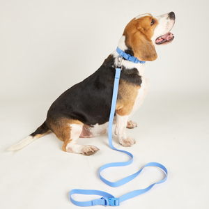 Wholesale Luxury Macaron Color PVC <strong>Dog</strong> Collar Waterproof Odor-Proof with Customizable Micro Logo Modern TPU Material <strong>Dog</strong> <strong>Leash</strong> - Product Image 3