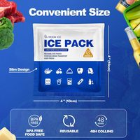 Pack de glace sèche en gel pour glacière alimentaire jetable en plastique personnalisable avec logo, feuille de congélation pour glacière à lunch