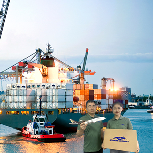 Campione gratuito di spedizione SeaShipment da Xiamen Ningbgo Shanghai cina a giappone KR USA DDP - Product Image 1