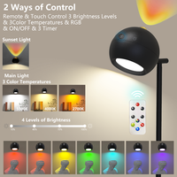 Lampe murale magnétique à tête rotative, lampe de bureau à charge magnétique, lampe de bureau LED, lampe à double source lumineuse, adaptée à la chambre à coucher, au bureau