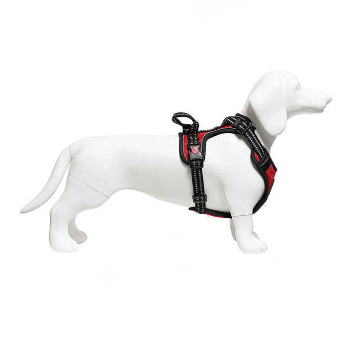 Maniquí de cuerpo completo de China para perros, soporte de exhibición