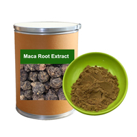 Complément alimentaire naturel à base de plantes, extrait de racine de maca noire, poudre de racine de maca, extrait de racine de maca en poudre