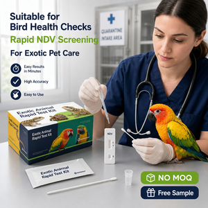 Kit <span class=keywords><strong>de</strong></span> Prueba Rápida NDV para Loros, Palomas y Aves Exóticas, Uso Veterinario, Sin Pedido Mínimo, Muestra Gratuita - Product Image 5