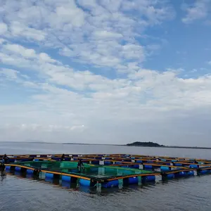 Kandang Memancing Kualitas Tinggi, Kubus Pontoon Peternakan Ikan