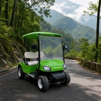 Carro de Golf Eléctrico de 2 Pasajeros, 80-100 km de Autonomía, Motor de CA de 3 kW, Tracción Trasera, Cargador Inteligente Integrado, Venta al por Mayor