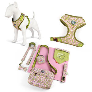 Harnais, laisse et collier <span class=keywords><strong>pour</strong></span> <span class=keywords><strong>chien</strong></span> avec logo personnalisé - Accessoires <span class=keywords><strong>pour</strong></span> animaux de compagnie - <span class=keywords><strong>Liste</strong></span> blanche BSCI - Nylon réfléchissant - Personnalisation OEM et ODM disponible - Product Image 1