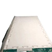 Planche à roulettes portable en plastique ZSPE avec roues lisses pour les jeux et l'apprentissage en plein air des enfants