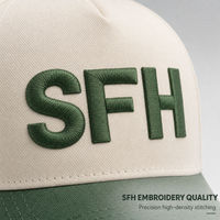 Casquette de baseball brodée bicolore à 5 panneaux en coton avec fermeture snapback, logo personnalisé, casquette décontractée pour le sport
