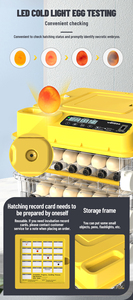 WONEGG Incubateur d'Œufs Automatique LED Mire-Œufs 108 Nouvel Incubateur Solaire 100 Œufs à Couver - Product Image 4