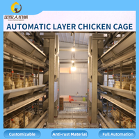 Vente en gros de cages automatiques pour poules pondeuses, équipement d'élevage avicole, vente directe d'usine, 90-160 oiseaux par cage, personnalisable