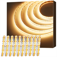 عالية الكثافة الذكية COB قطاع ضوء 12V 24V 3000K 4000K 6000K الانضباطي الأبيض Rgb Rgbw Cob Led قطاع