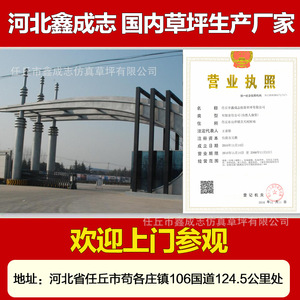 Artificial Grass Carpet Lawn 01 Easy Installation Outdoor Playground Use - Product Image 5