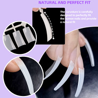 550 conseils faux ongles New Eden conseils artificiels faux ongles conception française Nail Art Extension demi-couverture manucure outil en gros